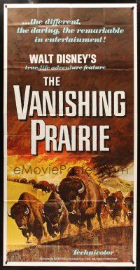 9f797 VANISHING PRAIRIE 3sh R68 a Walt Disney True-Life Adventure, cool art of stampeding buffalo!