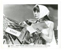 9r560 MY FAIR LADY candid 8x10 still '64 Audrey Hepburn studies her lines with dog in lap!