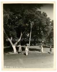 9r688 SITTER DOWNERS 8x10 still '37 Moe & Larry getting Curly out of tree, Three Stooges!