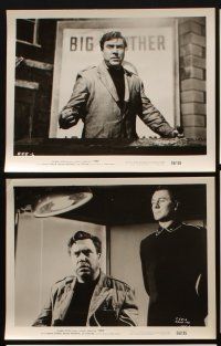 3w134 1984 8 8x10 stills '56 Jan Sterling, Edmond O'Brien, Redgrave, George Orwell classic story