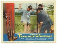 4d514 I WAS A TEENAGE WEREWOLF LC '57 AIP classic, 2 men talk to Michael Landon leaning on fence!