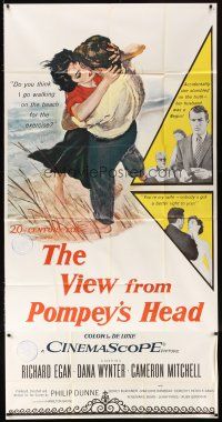 5s876 VIEW FROM POMPEY'S HEAD 3sh '55 Dana Wynter accidentally finds out her husband's a Negro!