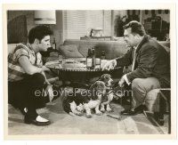 7j769 JAILHOUSE ROCK 8x10 still '57 Elvis Presley & Mickey Shaughnessy with Basset Hounds!