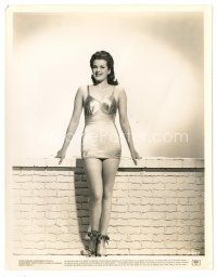 7j774 JANIS PAIGE 8x10 still '44 full-length smiling in sexy swimsuit in Hollywood Canteen!