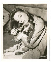 7j800 JULIE LONDON deluxe 8x10 still '58 great portrait w/ Basset Hound puppy from Man of the West!