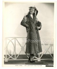 7j803 JUNE LANG 8x10 still '30s full-length portrait modeling cool leopardskin coat!