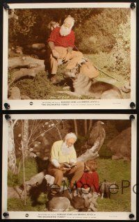 7j487 ENCHANTED FOREST 4 color 8x10 stills '45 Harry Davenport with cool German Shepherd dogs!