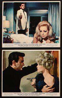 7j390 KISS THE GIRLS & MAKE THEM DIE 11 color 8x10 stills '66 Mike Connors & sexy Dorothy Provine!