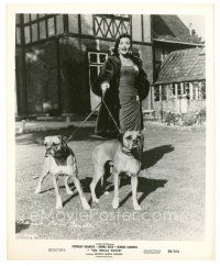 7s339 GIANNA MARIA CANALE 8x10 still '58 the sexy Italian actress at home with her 2 boxer dogs!