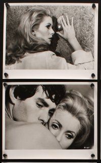 8d549 BELLE DE JOUR 6 8x10 stills '68 Luis Bunuel, sexy prostitute Catherine Deneuve, Jean Sorel!