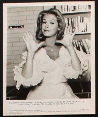 8d326 BEWITCHED 15 TV 8x10 stills '65 Elizabeth Montgomery, Dick York, Agnes Moorehead