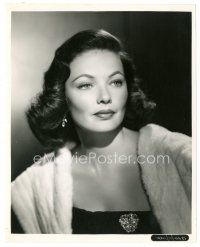 8k363 GENE TIERNEY 8x10 still '50s head & shoulders portrait of the beautiful star with fur!