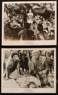 8w321 ALEXANDER THE GREAT 5 8x10 stills '56 Richard Burton, Frederic March as Philip of Macedonia!