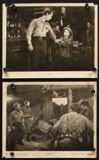 9j720 SHANE 5 8x10 stills '53 Alan Ladd, Brandon De Wilde, Van Heflin, George Stevens classic!