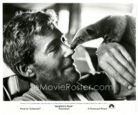 1h690 MURPHY'S WAR 8x9.75 still '71 wacky close up of Peter O'Toole playing with baby anteater!