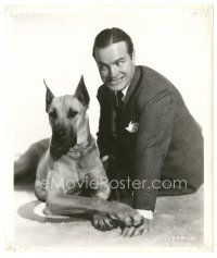 1h701 NEVER SAY DIE 8x9.5 still '39 wacky portrait of Bob Hope with huge Great Dane dog!