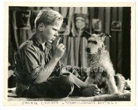 1h725 O'SHAUGHNESSY'S BOY 8x10 still '35 close up of Jackie Cooper being stern with his cute dog!