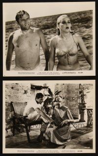 2r927 NIGHT OF THE IGUANA 2 8x10 stills '64 Richard Burton, Deborah Kerr, sexy Sue Lyon!