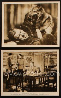 2r959 SILENT CODE 2 8x10 stills '35 Kane Richmond, Canadian Royal Mounted Police, cool attacking dog