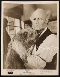 2r859 GREYFRIARS BOBBY 2 8x10.25 stills '61 Walt Disney, Laurence Naismith and cute Skye Terrier!