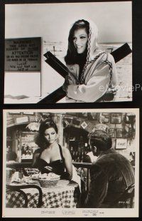 2r725 HELL WITH HEROES 3 7.5x9.5 stills '68 great images of sexiest Claudia Cardinale, Guardino!