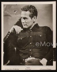 2r729 HUD 3 8x10 stills '63 cool images of Paul Newman, Melvyn Douglas, Martin Ritt classic!