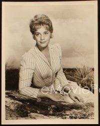 2r910 MARIA SCHELL 2 8x10 stills '60s very elegant close up & seated portraits of the Austrian star!