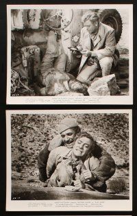 2r183 PLAY DIRTY 10 8x10 stills '69 WWII soldier Michael Caine, cool images with machine guns!