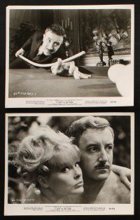 2r145 SHOT IN THE DARK 12 8x10 stills '64 Blake Edwards, wacky Peter Sellers & sexy Elke Sommer!