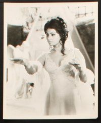 2r416 SOPHIA LOREN 6 8x10 stills '50s-60s incredible portraits of the beautiful Italian actress!