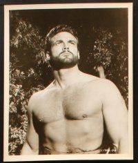 2r323 STEVE REEVES 7 8x10 stills '60s from Goliath & the Barbarians, Hercules Unchained, Avenger!