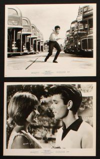 2r270 SUMMER HOLIDAY 8 8x10 stills '63 Cliff Richard, sexy Lauri Peters, The Shadows!