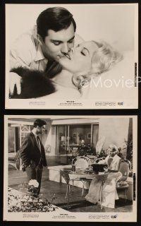 2r794 SYLVIA 3 8x10 stills '65 sexy Carroll Baker is the powder, George Maharis is the fuse!