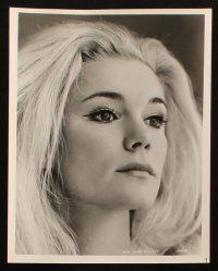 2r538 YVETTE MIMIEUX 5 8x10 stills '60s waist high & c/u portraits of the pretty blonde actress!