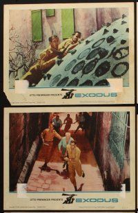 3j600 EXODUS 6 LCs '61 Otto Preminger, Paul Newman, Eva Marie Saint, Sal Mineo, Jill Haworth!