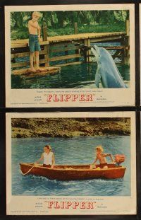 3j154 FLIPPER 8 LCs '63 Chuck Connors, Luke Halpin, cool images of boy & dolphin!