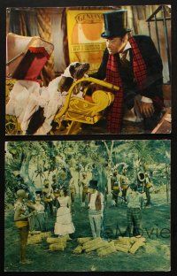 5c640 DOCTOR DOLITTLE 5 color 11x14 stills '67 Rex Harrison, directed by Richard Fleischer!