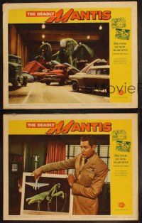 5c795 DEADLY MANTIS 3 LCs '57 includes special effects image of giant bug attacking cars!