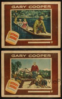 5c720 DISTANT DRUMS 4 LCs '51 Gary Cooper in the Florida Everglades, directed by Raoul Walsh!