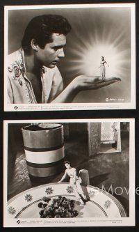 5w625 7th VOYAGE OF SINBAD 5 TV 8x10 stills R60s Kerwin Mathews, Ray Harryhausen fantasy classic!