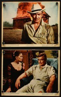 5w099 BAND OF ANGELS 4 color 8x10 stills '57 Clark Gable, beautiful slave mistress Yvonne De Carlo!