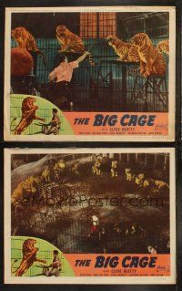 6b854 BIG CAGE 2 LCs R50 Clyde Beatty, greatest show on Earth, amazing tiger and lion images!