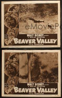 6b772 BEAVER VALLEY 3 LCs '50 Walt Disney's True Life outstanding short feature, cool animal images