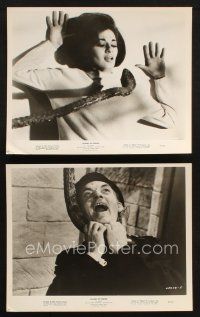 6j940 ISLAND OF TERROR 2 8x10 stills '66 Peter Cushing, Edward Judd & pretty Carole Gray in peril!