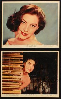 6j207 LITTLE HUT 4 color 8x10 stills '57 sexy tropical Ava Gardner, Stewart Granger!