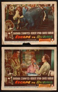 6s146 ESCAPE TO BURMA 8 LCs '55 romantic art of Robert Ryan & Barbara Stanwyck in India!