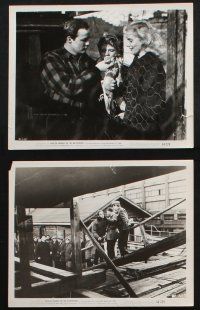 8a578 ON THE WATERFRONT 7 8x10 stills '55 directed by Elia Kazan, Marlon Brando, Eva Marie Saint!