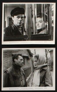 8a349 PASSWORD IS COURAGE 15 8x10 stills '63 Dirk Bogarde in an English version of The Great Escape