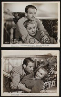 8a825 SAFARI 3 8x10 stills '40 Douglas Fairbanks Jr, sexy Madeleine Carroll, Africa!