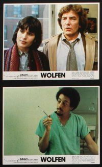 8a092 WOLFEN 8 8x10 mini LCs '81 Albert Finney, Gregory Hines, there is no defense vs werewolves!